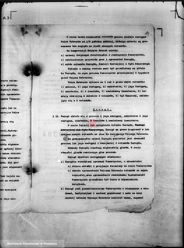 Obraz 20 z jednostki "/Towarzystwo Ornitologiczne w Poznaniu/"