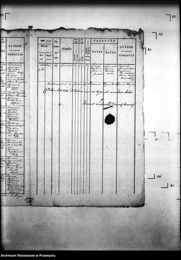 Obraz 11 z jednostki "[Kopie ksiąg metrykalnych parafii Krzywa z filiami Jasionka, Wołowiec (dekanat Gorlice)]"