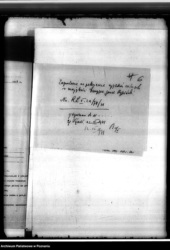 Obraz 10 z jednostki "Las majętności Gierczyce powiatu kępińskiego"