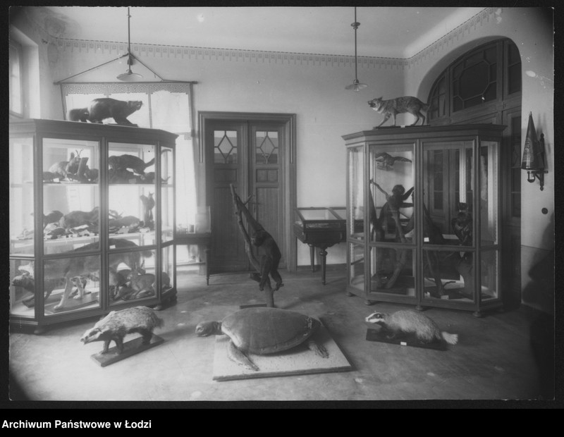 Obraz 2 z jednostki "[Pracownia biologiczna - widok na eksponaty, fragment III]"