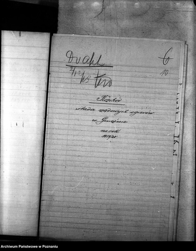 Obraz 14 z jednostki "Budżet Stadnin na rok 1921"