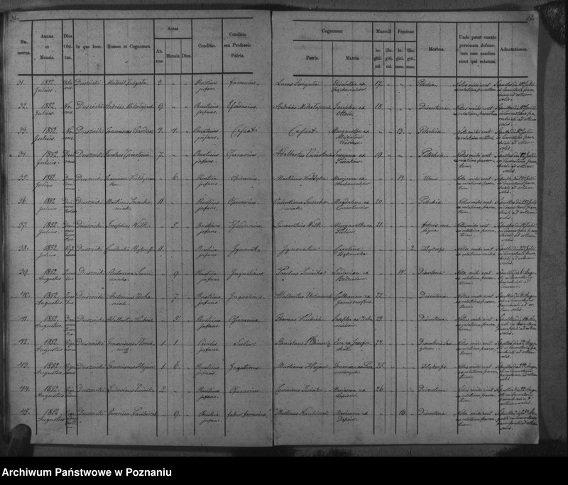 Obraz 20 z jednostki "Duplicat baptisatorum, copulatorum, mortuorum"