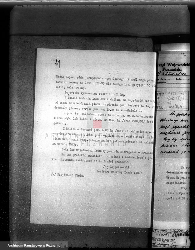 Obraz 15 z jednostki "Nadzór nad gospodarką w lasach majętności Koszuty powiat średzki"