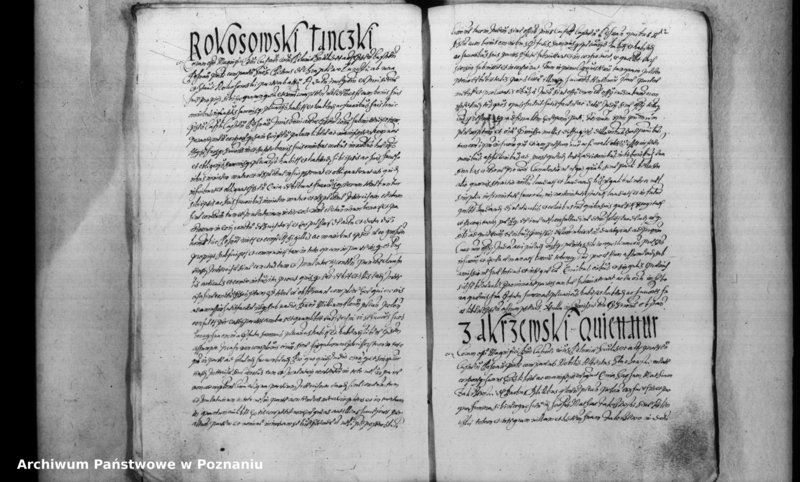 Obraz 15 z jednostki "Inscriptiones [inducta]"