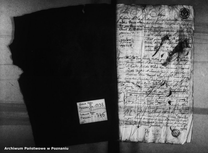 Obraz 4 z jednostki "Decreta officii [protocollon]"