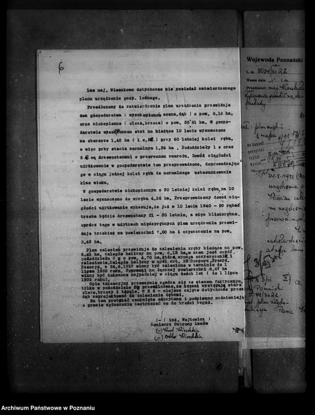 Obraz 11 z jednostki "Majętność /leśna/ Wieszkowo powiat kościański"