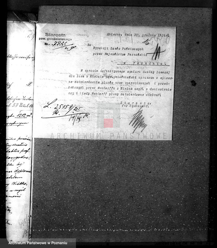 Obraz 20 z jednostki "Majętność leśna w Mielnie w powiecie gnieźnieńskim"