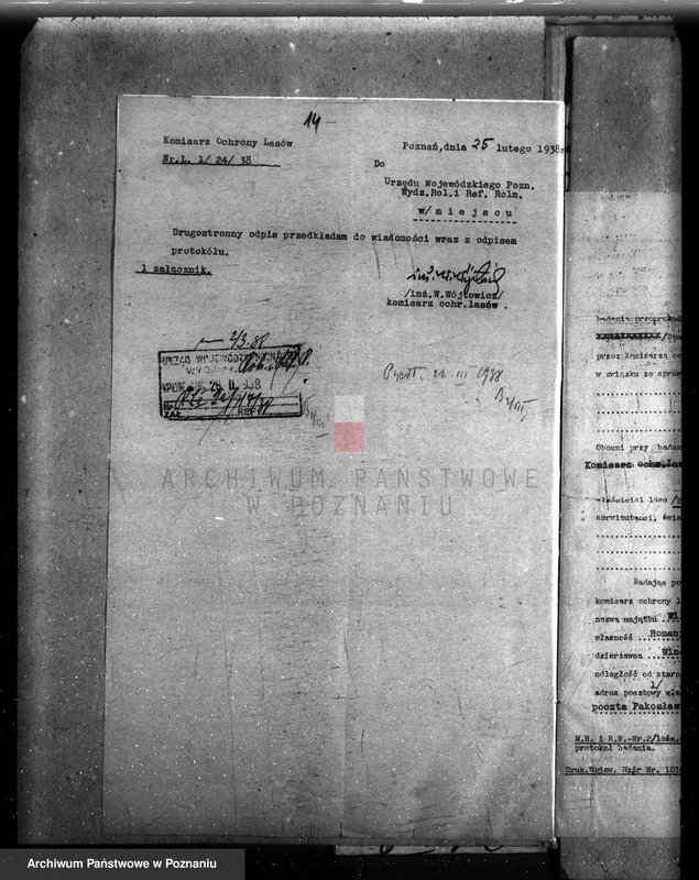 Obraz 20 z jednostki "Majętność /leśna/ Wilkowo Polskie powiat kościański"