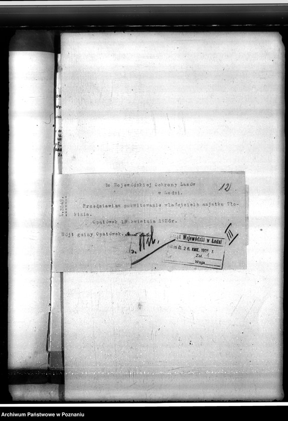 Obraz 16 z jednostki "Sprawa o niedostateczne zalesienie lasu 16,24 ha w majątku Tłokinia"