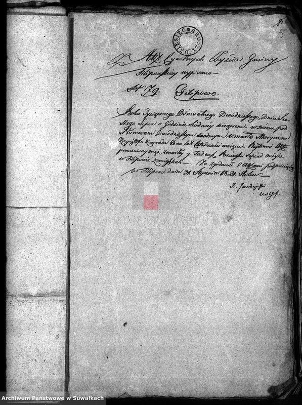 Obraz 8 z jednostki "Annexa do akt związków małżeńskich w gminie Filipońskiej w Powiecie Seyneńskim Województwie Augustowskim w roku 1821"