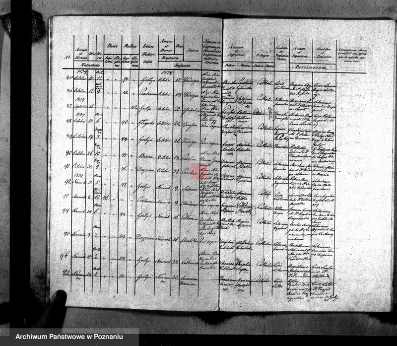 Obraz 10 z jednostki "Liber baptisatorum, copulatorum, mortuorum"