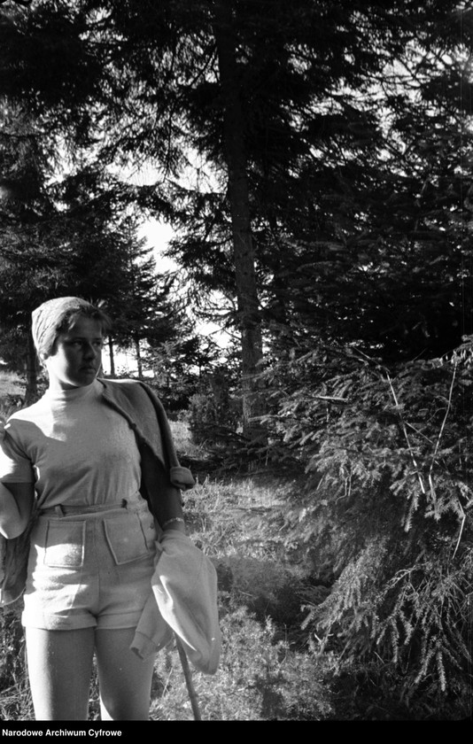 Obraz 7 z jednostki "Podróż pociągiem na Podhale z Krakowa przez miejscowość Tunel"