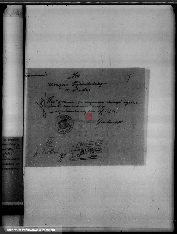 Obraz 13 z jednostki "Gmina Koźminek powiat kaliski /sprawy leśne/"