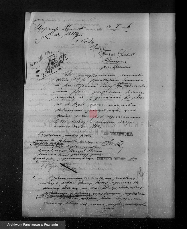 Obraz 6 z jednostki "Nadzór nad lasami/ majątku Klempicz powiatu czarnkowskiego"