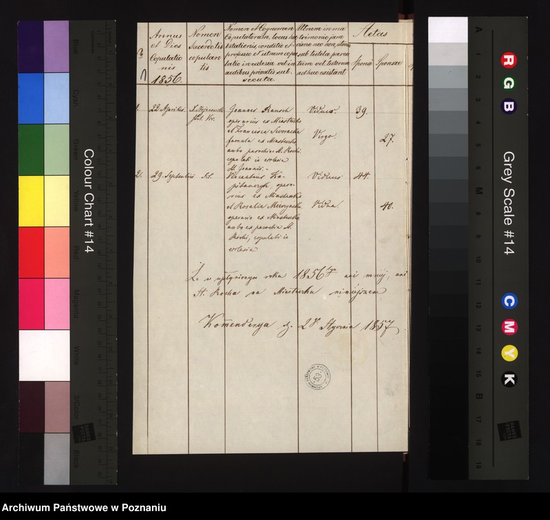 Obraz 3 z jednostki "Duplicat copulatorum"