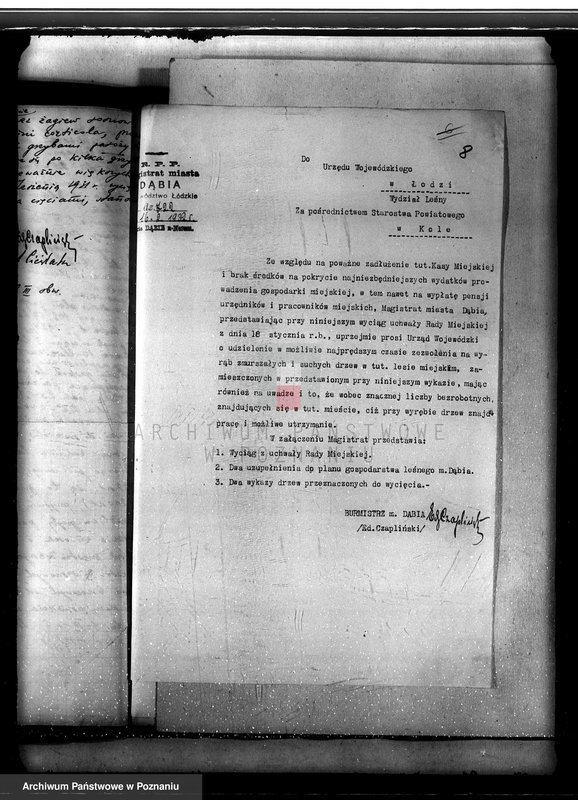 Obraz 12 z jednostki "Lasy miasta Dąbie powiatu kolskiego"