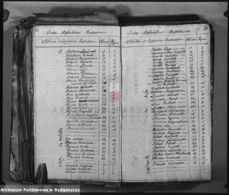 image.from.unit.number "Duplicate der Kirchen Bücher von Kościelec"