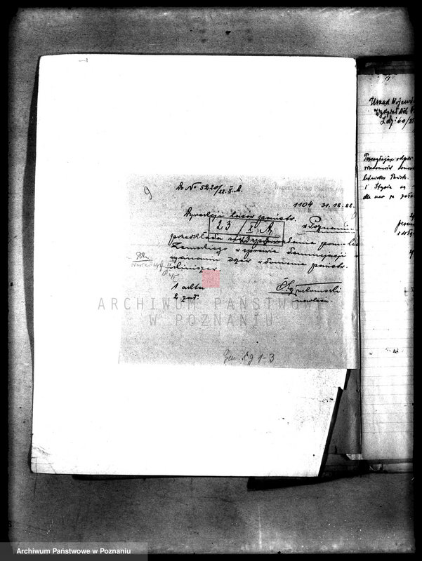 Obraz 13 z jednostki "Drzewostan w majętności państwowej Miniszew"