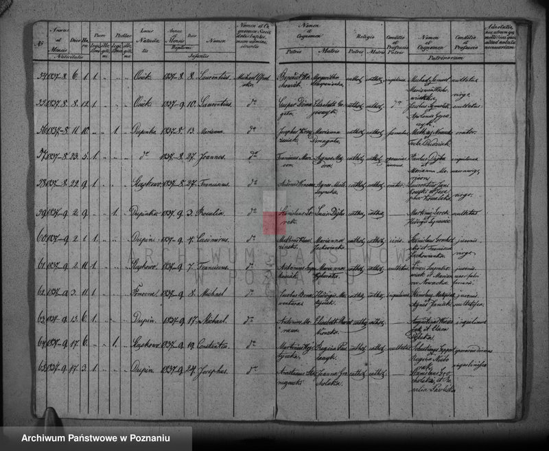 Obraz 8 z jednostki "Duplikat baptisatorum, copulatorum, mortuorum"