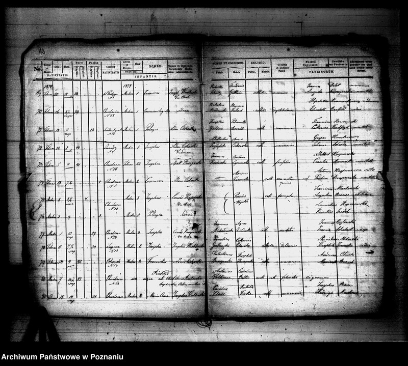 Obraz 8 z jednostki "Księga urodzeń"