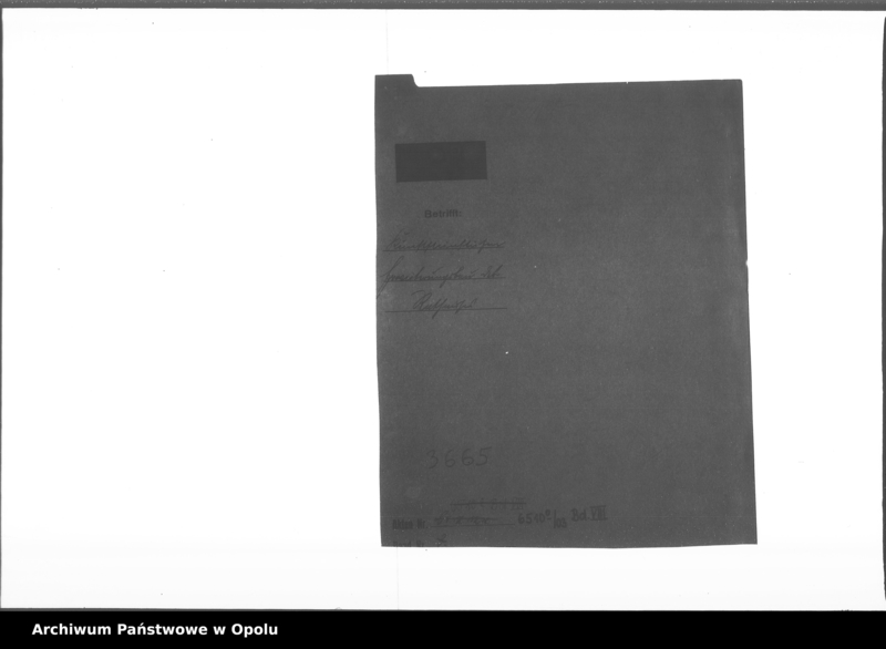 Obraz 5 z jednostki "Kunststeinstufen Erweiterungsbau des Rathauses B[an]d VIII"