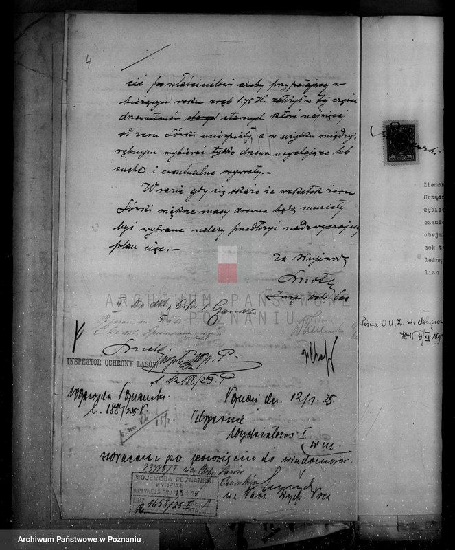 Obraz 8 z jednostki "/Nadzór nad lasami/ majętności Gębice powiatu czarnkowskiego"