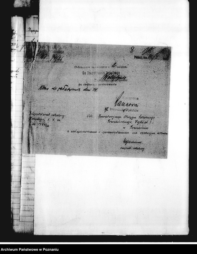 Obraz 12 z jednostki "Szkoła Powszechna Niałek Wielki, powiat Wolsztyn"