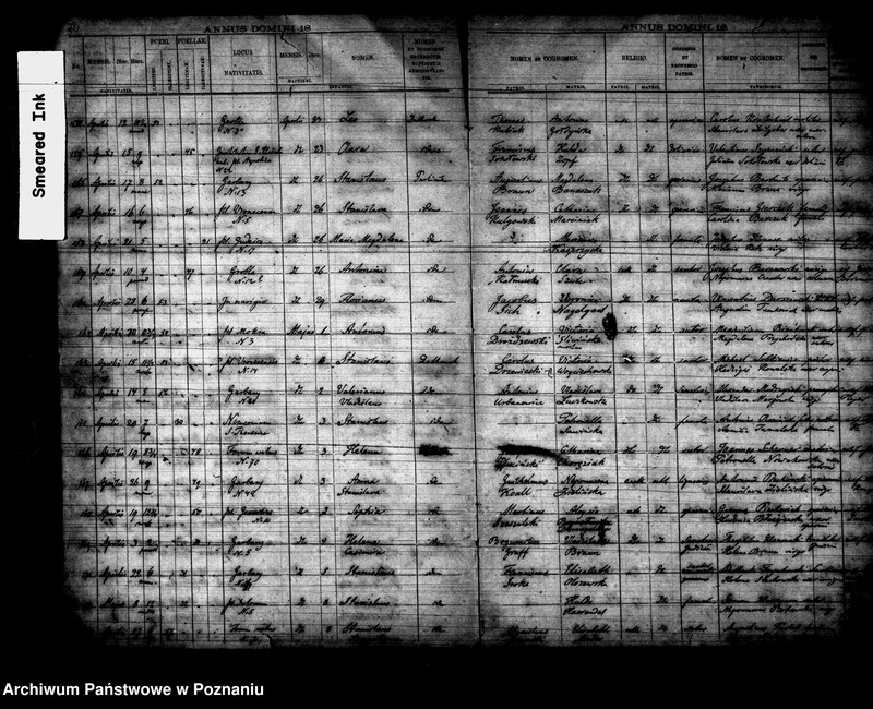 Obraz 13 z jednostki "Księga urodzin"