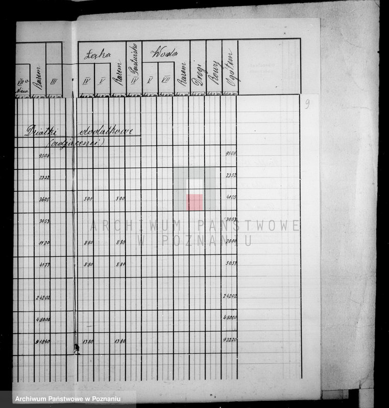 Obraz 13 z jednostki "Tymczasowy rejestr pomiarowy majątku Falmierowo powiatu wyrzyskiego"