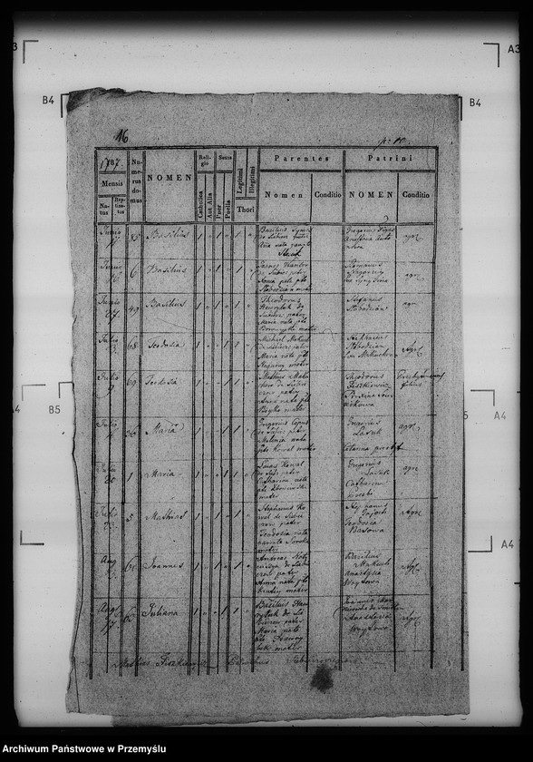 Obraz 20 z jednostki "[Kopie ksiąg metrykalnych parafii Siebieczów z filią Leszczaków (dekanat Bełz)]"