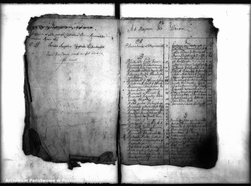 Obraz 5 z jednostki "Inscriptiones, resignationes [protocollon]"