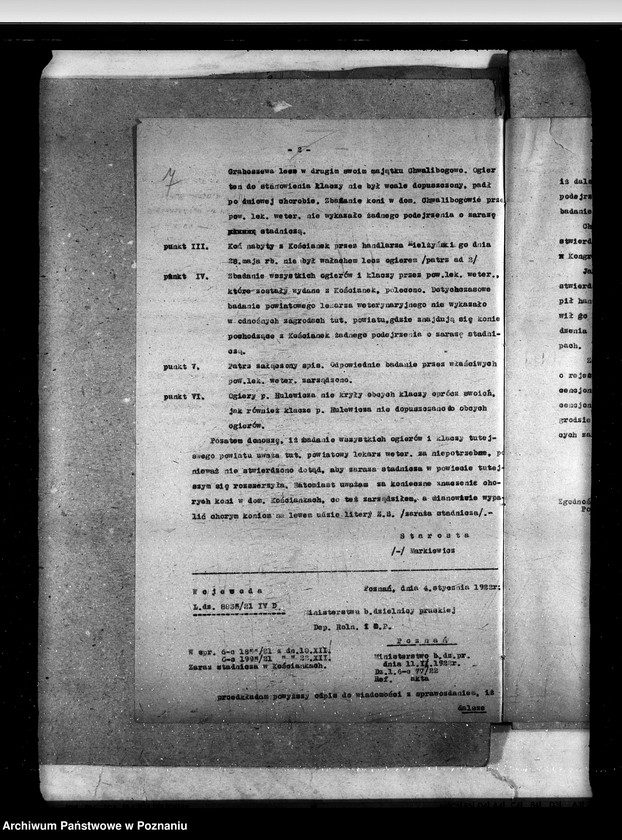 Obraz 12 z jednostki "Zaraza stadnicza"