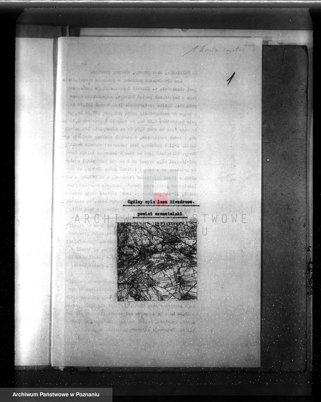 image.from.unit.number "Plan urządzenia gospodarstwa leśnego dla lasu majętności Biezdrowo powiat szamotulski"