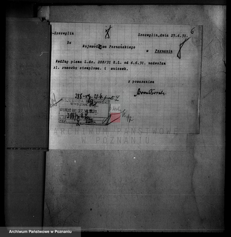 Obraz 10 z jednostki "Majętność /leśna/ Szczeglin Dąbrówka w powiecie mogileńskim"