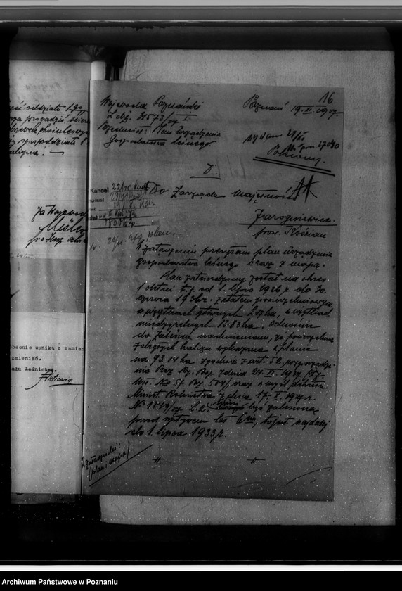 Obraz 20 z jednostki "Gospodarka w lasach majątku Jarogniewice powiat kościański"