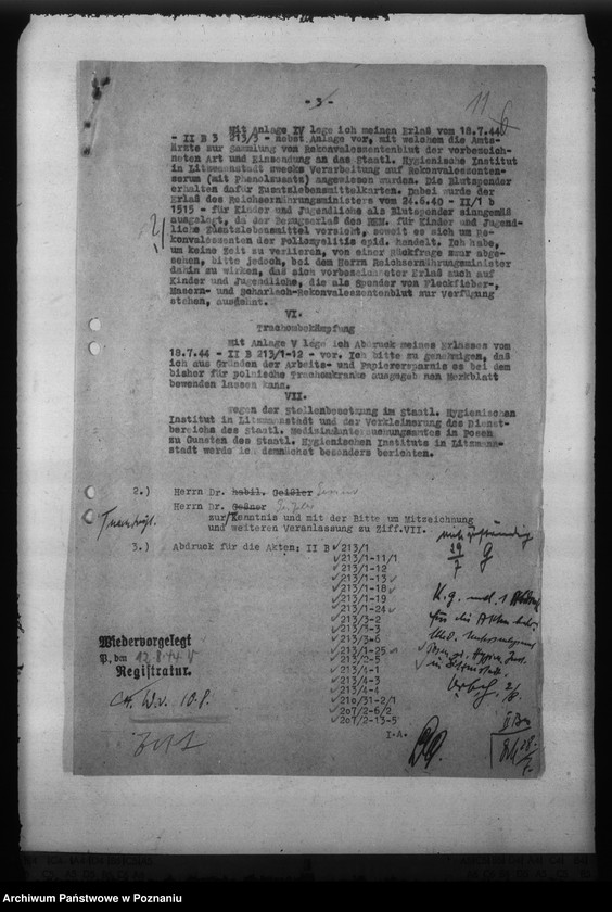 Obraz 15 z jednostki "Massnahmen zur Seuchenbekämpfung"