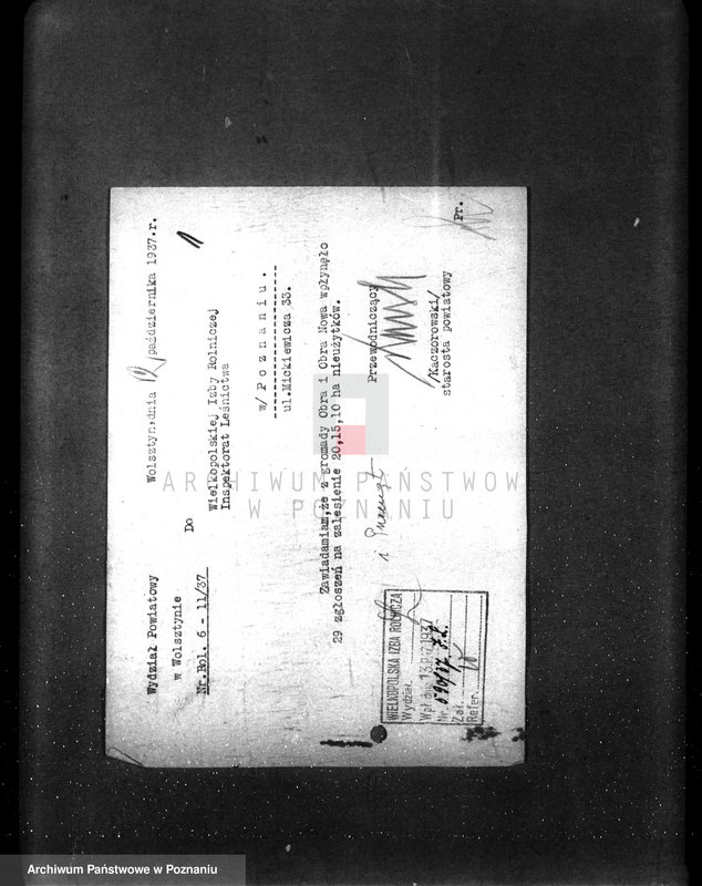 Obraz 5 z jednostki "Zalesienie nieużytków pod nadzorem Izby Rolniczej w powiecie wolsztyńskim"