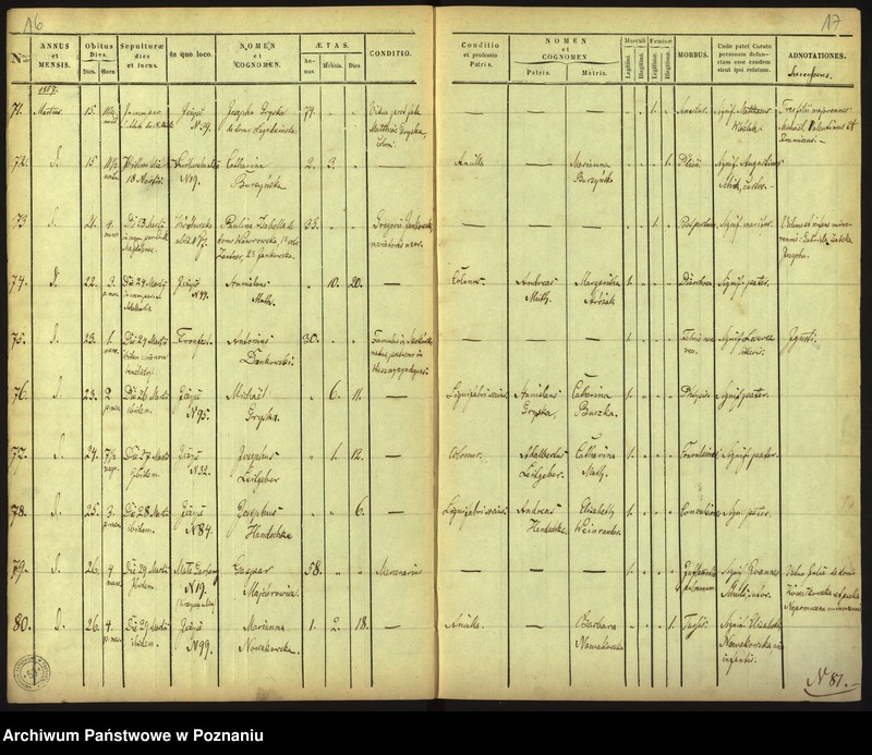 Obraz 11 z jednostki "Księga zgonów"