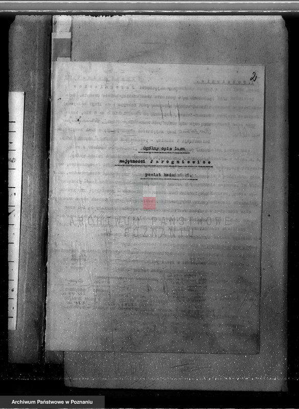 Obraz 6 z jednostki "/Nadzór nad gospodarką w lasach majątku/ Jarogniewice powiat kościański 1936-1946"