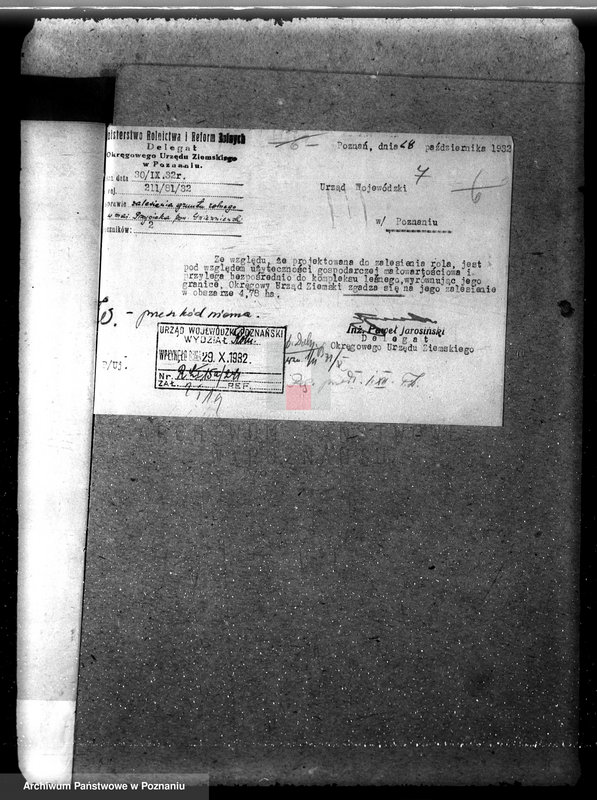 Obraz 11 z jednostki "Nadzór nad gospodarką w lasach majętności Przysieka powiecie gnieźnieńskim"