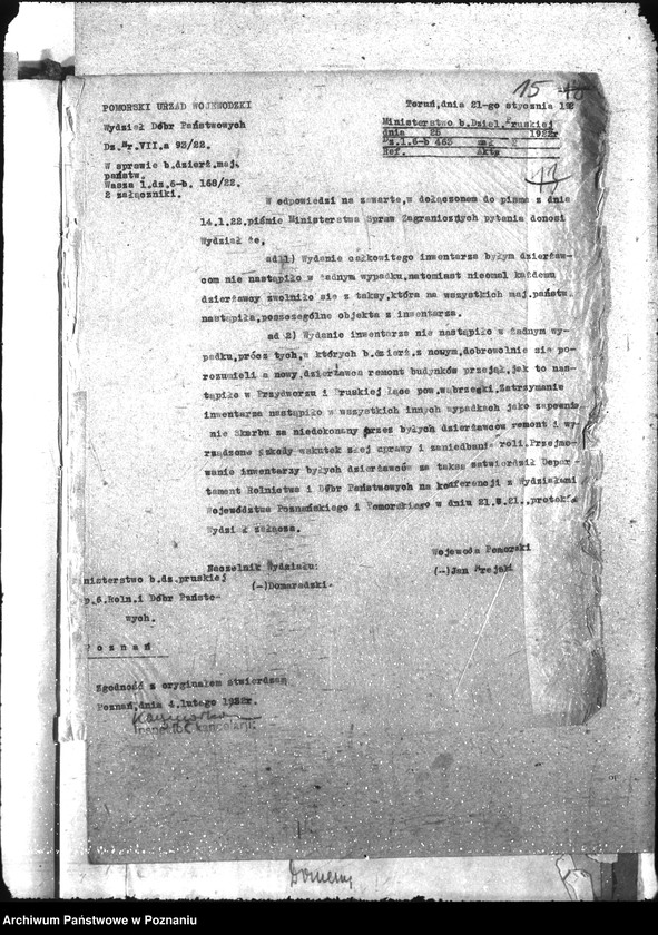 Obraz 20 z jednostki "Domeny"