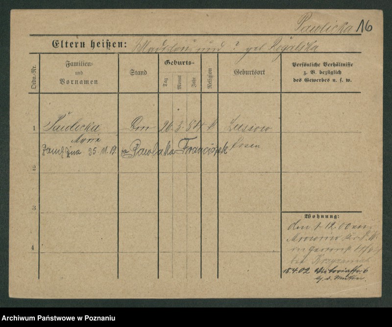 Obraz 18 z jednostki "Pawlas - Pawlicki"