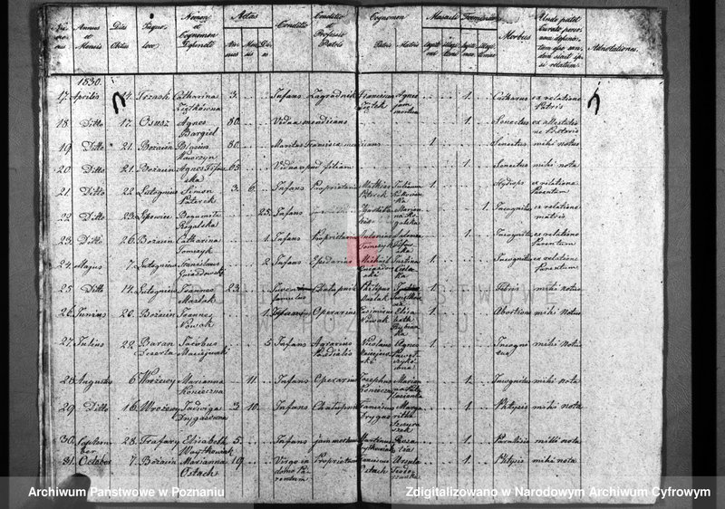 image.from.unit.number "Duplicatum baptisatorum, copulatorum, mortuorum"