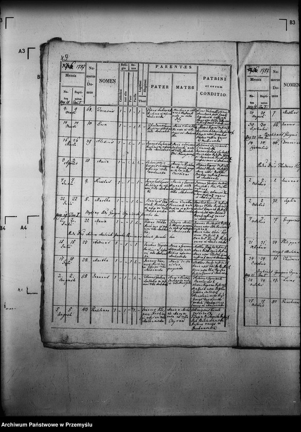 Obraz 13 z jednostki "[Kopie ksiąg metrykalnych parafii Mochnaczka Niżna z filią Mochnaczka Wyżna (dekanat Muszyna)]"