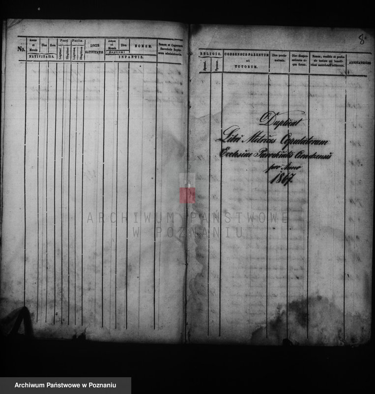 Obraz 7 z jednostki "Duplikat baptisatorum, copulatorum, mortuorum"