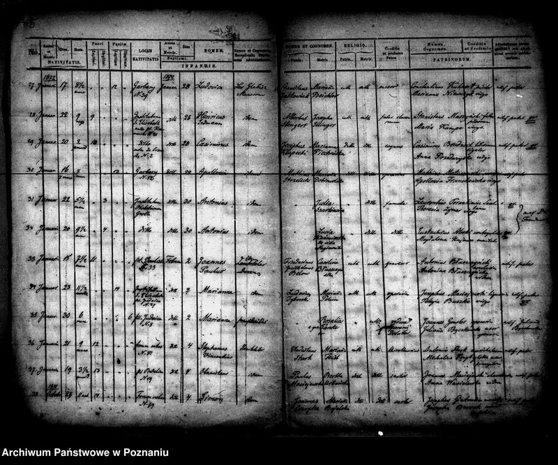 Obraz 4 z jednostki "Księga urodzin"