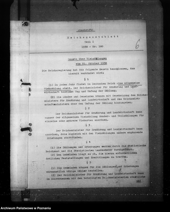 Obraz 10 z jednostki "Zarządzenia i korespondencja w sprawie sporządzenia spisu bydła"