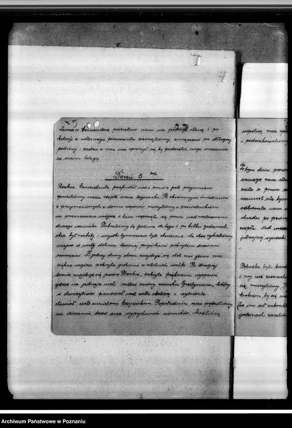 Obraz 9 z jednostki "Kronika obozu w Nowych Trokach"