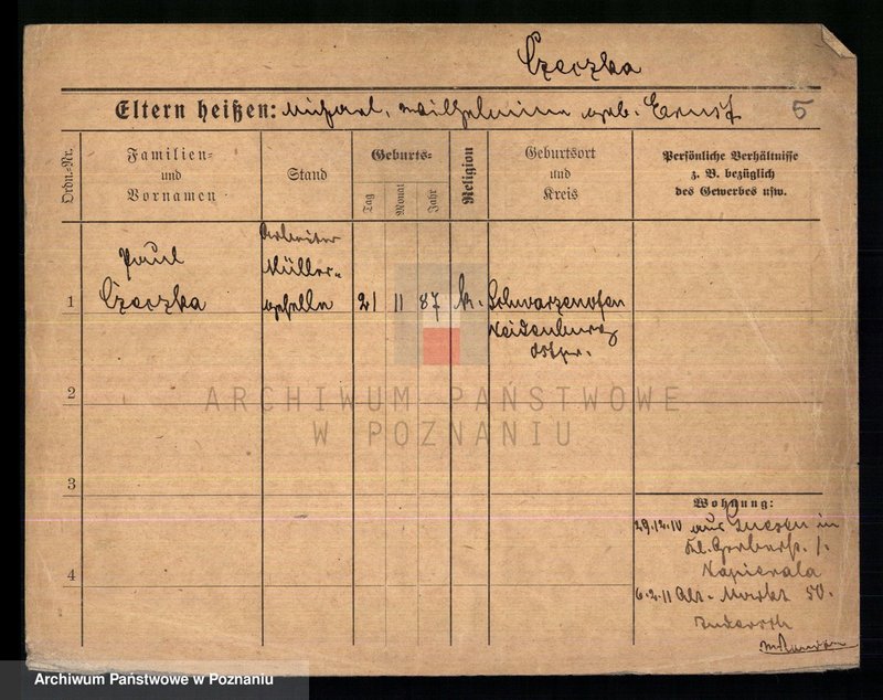 Obraz 7 z jednostki "Czeczewski - Czernielewski"