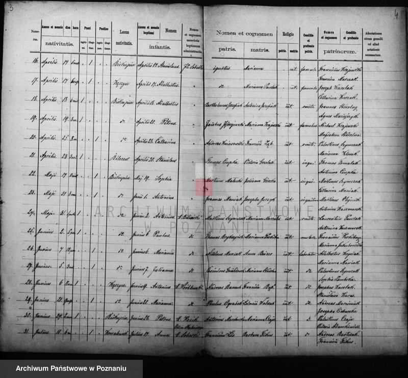 Obraz 4 z jednostki "Liber duplicatus baptisatorum"